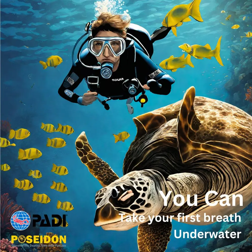 padi discover scuba diving