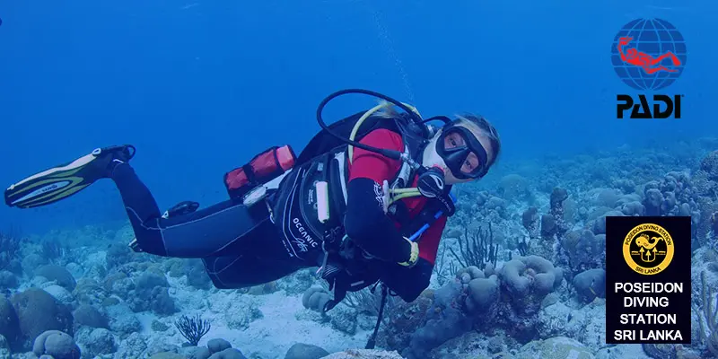 padi open water diver course