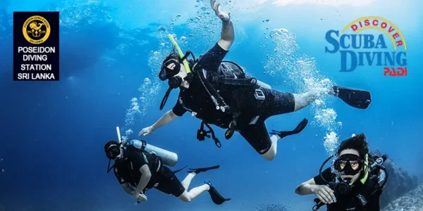 discover scuba diving try dive