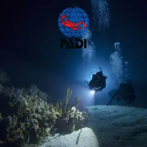 padi night diver