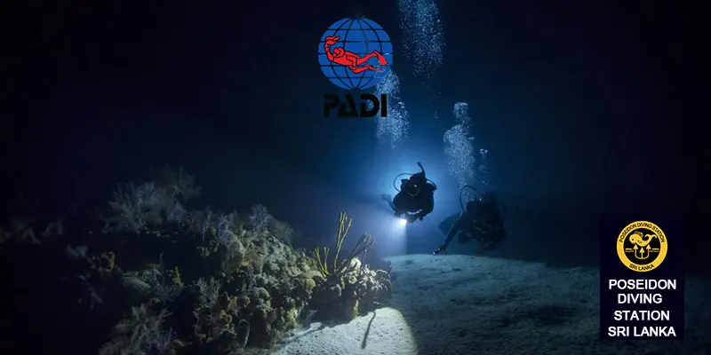 padi night diver