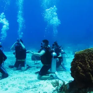 padi master scuba diver course