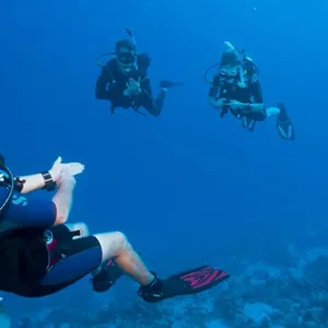 PADI Peak Performance Buoyancy Specialty Course